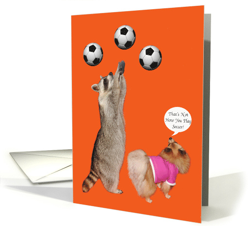 Thank You to Coach a Raccoon and Pomeranian with Soccer Balls card