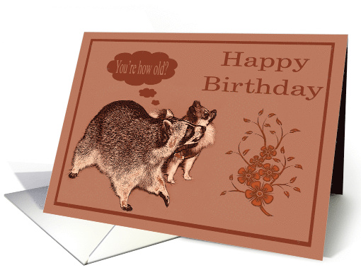 Birthday Card with a Raccoon and Pomeranian with an Antique Look card