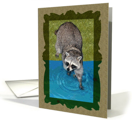 Any Occasion Blank Note Card, Raccoon with hands in water's edge card