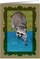 Any Occasion Blank Note Card, Raccoon with hands in water’s edge card