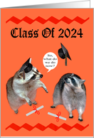 Congratulations on 2024 Graduation with Raccoons and Diplomas card