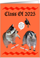 Congratulations on 2025 Graduation with Raccoons and Diplomas card