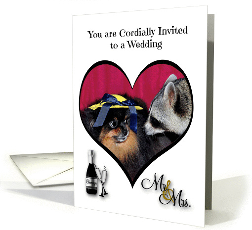 Invitations, Wedding, general, Pomeranian wearing hat, raccoon card