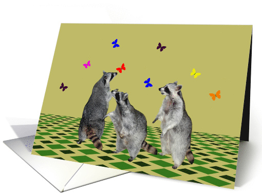 Blank Note Card, any occasion, Raccoons playing with butterflies card