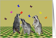 Blank Note Card, any occasion, Raccoons playing with butterflies card