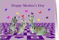 Mother’s Day Four Adorable Raccoons Playing with Colorful Butterflies card