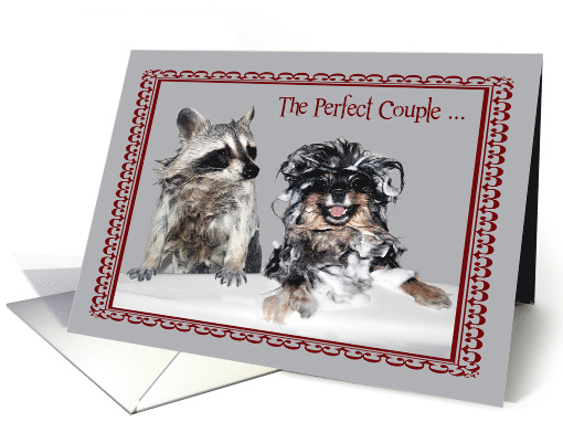 Wedding Anniversary to Couple Card with a Pomeranian and Raccoon card