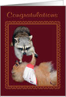 Congratulations, general, Raccoon and Pomeranian giving a high five card