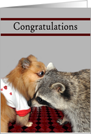 Congratulations Expecting a Baby a Pom Whispering in a Raccoon’s Ear card