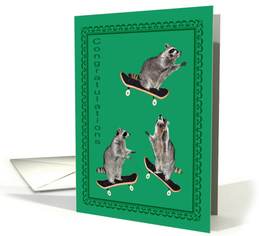 Congratulations, general, Raccoons skateboarding on green... (605591)