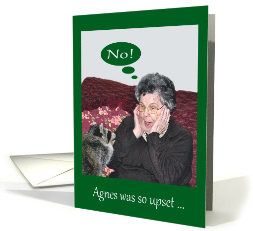 Christmas, general, humor, Raccoon and upset lady framed on green card