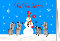 Christmas, general, Four raccoons with snowman in snow on light blue card