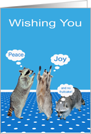 Happy Holidays with Fruitcake Humor Featuring Adorable Raccoons card