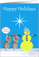 Happy Holidays, general, humor, Raccoons with yellow snowman card