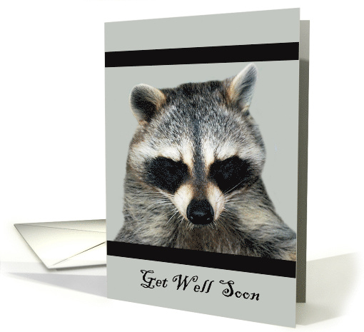Get Well with an Adorable Raccoon with Eyes Closed not... (609428)