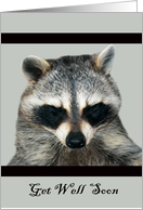 Get Well with an Adorable Raccoon with Eyes Closed not Feeling Well card