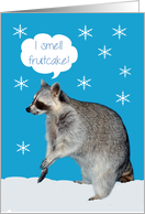 Christmas with a Racoon in the Snow Thinking He Smells Fruitcake card