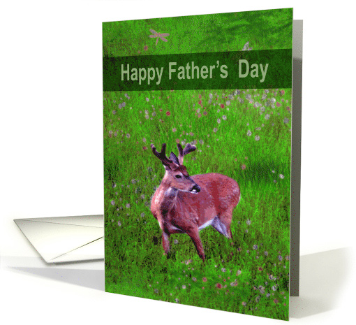 Father's Day, general, buck deer standing in grassy field... (615288)