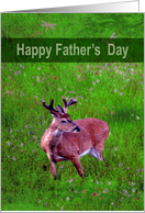 Father’s Day, general, buck deer standing in grassy field with antlers card