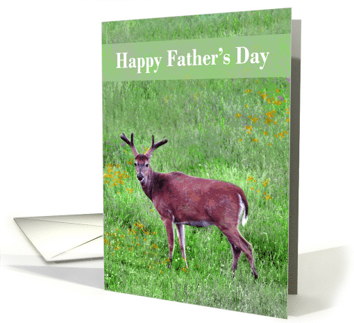 Father's Day with a Buck Deer Standing in Grassy Field... (615297)