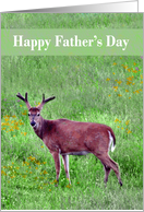 Father’s Day with a Buck Deer Standing in Grassy Field with Antlers card