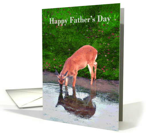 Father's Day, Deer taking a drink from a pond and seeing... (615846)