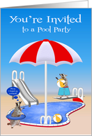 Invitations, Pool Party, Raccoons by pool with beach balls, red card