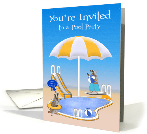 Invitations to Pool Party, general, Raccoons by pool with... (617664)