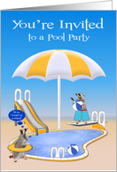 Invitations to Pool Party, general, Raccoons by pool with beach balls card