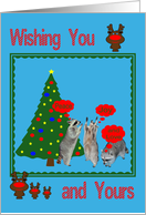 Christmas, general, raccoons with decorated tree, reindeer, frame card