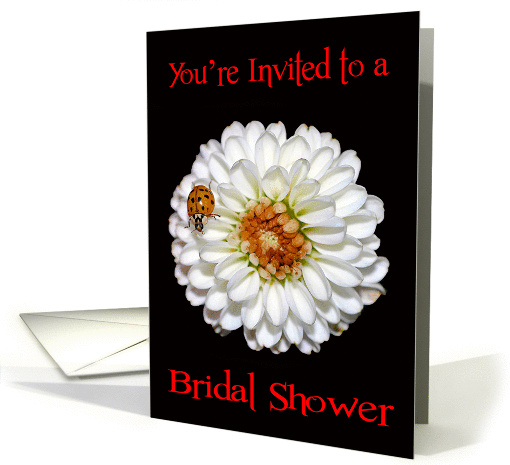 Invitations, bridal shower, general, white flower with... (619841)