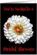 Invitations, bridal shower, general, white flower with beetle on black card