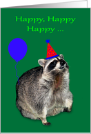 Birthday, Raccoon wearing a party hat, colorful happy text on green card