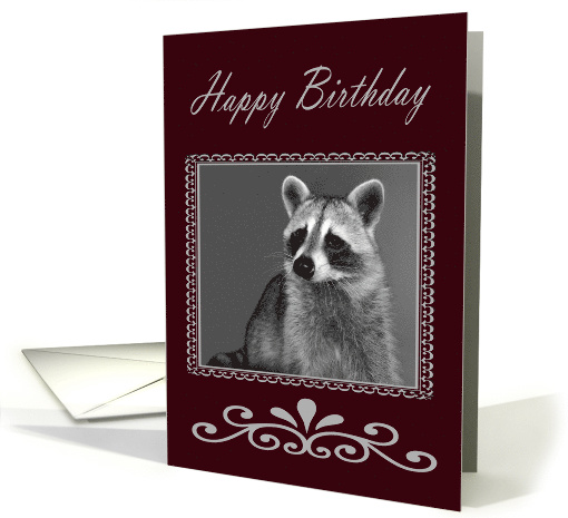 Birthday, general, Raccoon Portrait in fancy frame, gray... (627105)