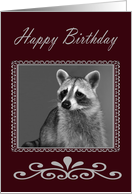 Birthday, general, Raccoon Portrait in fancy frame, gray and burgundy card