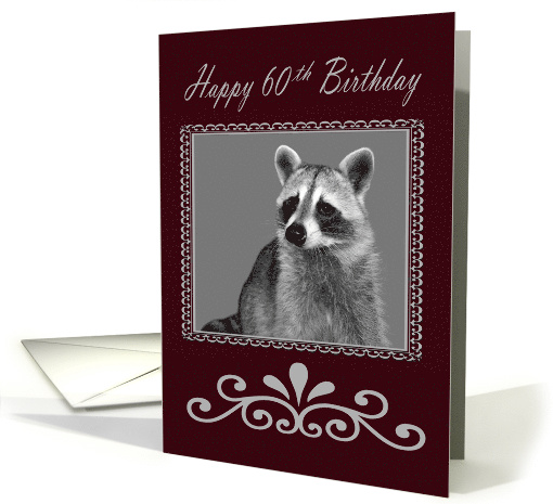 60th Birthday, Raccoon Portrait in fancy frame on gray and... (627125)