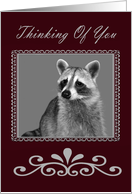 Thinking Of You, general, Raccoon Portrait in francy frame on burgundy card