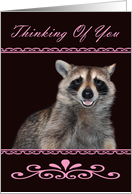 Thinking Of You with a Raccoon Smiling in Fancy Frame on Burgundy card