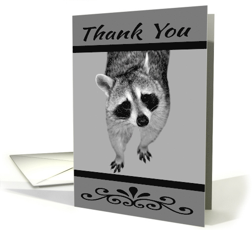 Thank you, general, Raccoon up close on light gray, dark gray card