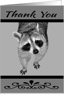 Thank you, general, Raccoon up close on light gray, dark gray card