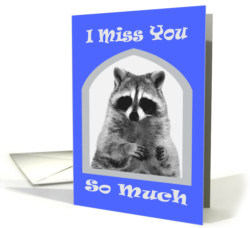 Miss You, general, Raccoon with hands up on white in a gray frame card