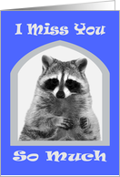 Miss You, general, Raccoon with hands up on white in a gray frame card