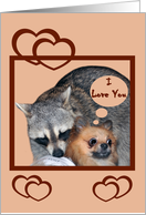 Love and Romance with a Raccoon Cuddling a Golden Pomeranian card