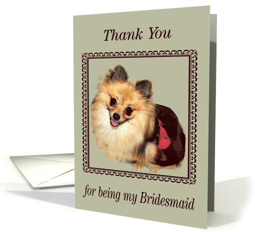 Thank You to Bridesmaid, Pomeranian smiling, dress, fancy frame card