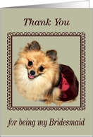 Thank You to Bridesmaid, Pomeranian smiling, dress, fancy frame card
