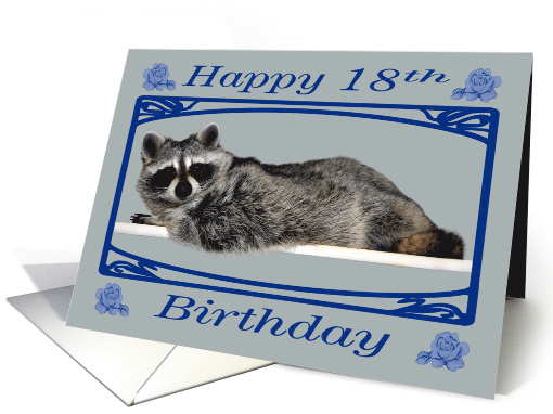 18th Birthday, Raccoon in blue fancy frame with roses on blue card