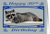 30th Birthday, Raccoon in blue fancy frame with roses on blue, red card