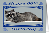 60th Birthday, beautiful raccoon in a fancy frame with blue roses card