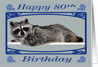 80th Birthday, Raccoon in a fancy frame with dark blue roses card