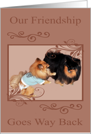 Friendship, humor, Pomeranians, one in diaper in frame on light brown card